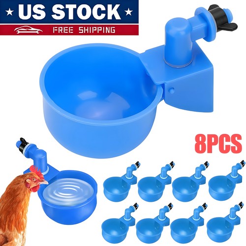 8pcs chicken automatic - 8pcs,